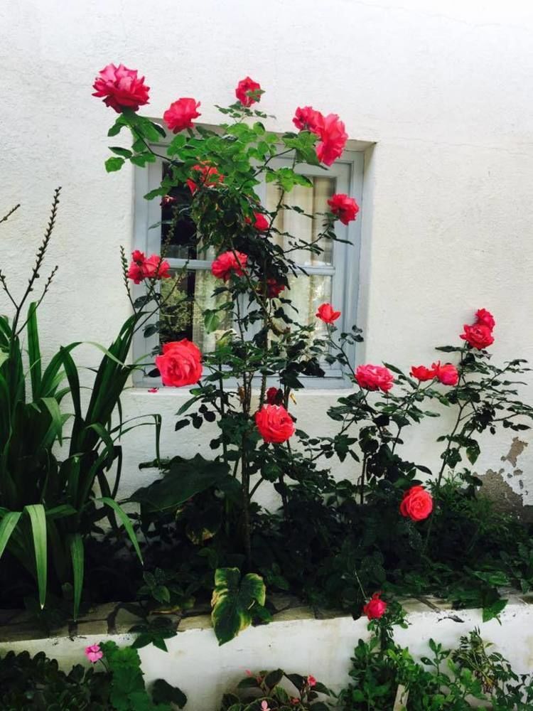 Hotel Rodon Skala  Bagian luar foto